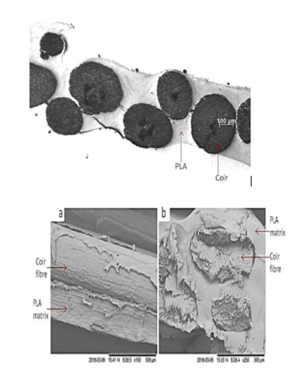 Investigations Into The Tensile Properties And Microstructural Features 